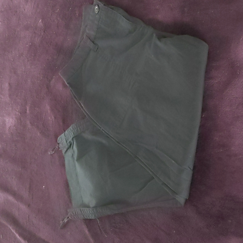 Style and Company capri pants